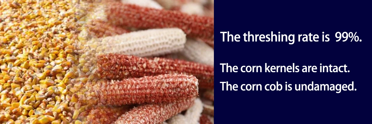 Corn-threshing-threshing-rate-is-99 Corn-threshing-threshing-rate-is-99